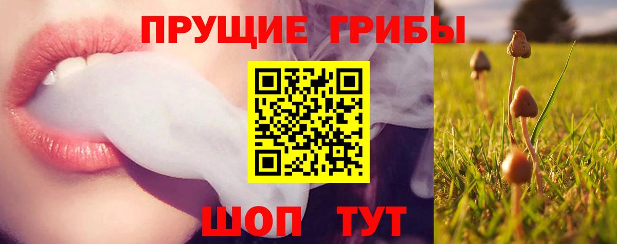Псилоцибиновые грибы Magic Shrooms Пермь